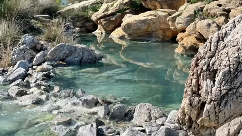 Ein Thermalbecken am Fuß eines kiefernbewachsenen Hangs Ein Thermalbecken am Fuß eines kiefernbewachsenen Hangs