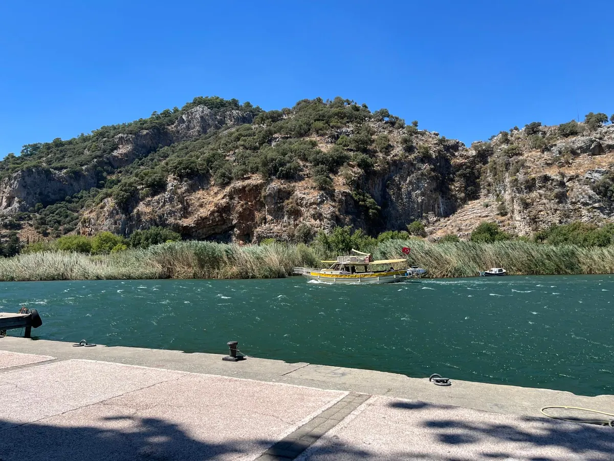 Loggerhead Turtles at Dalyan