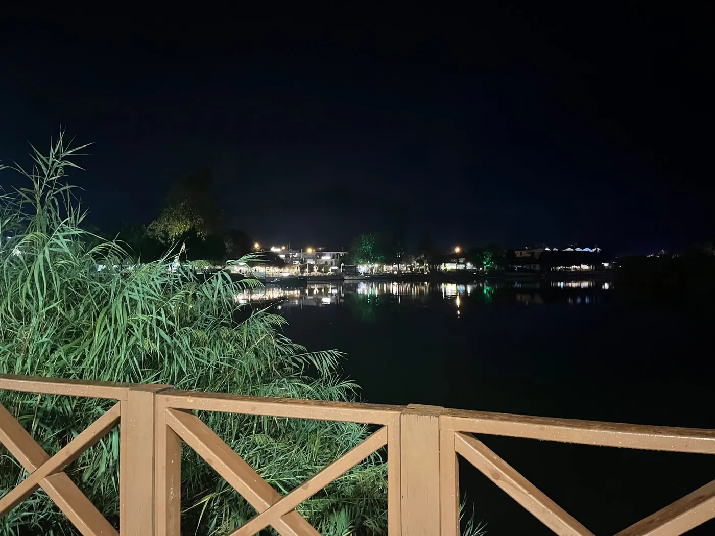 The river at night from the railing, reeds in front and town lights on the far bank The river at night from the railing, reeds in front and town lights on the far bank