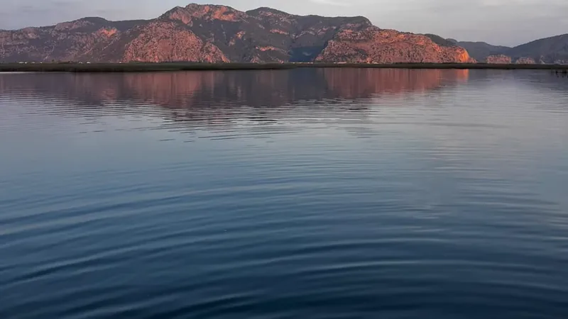 The delta mountains in late afternoon light