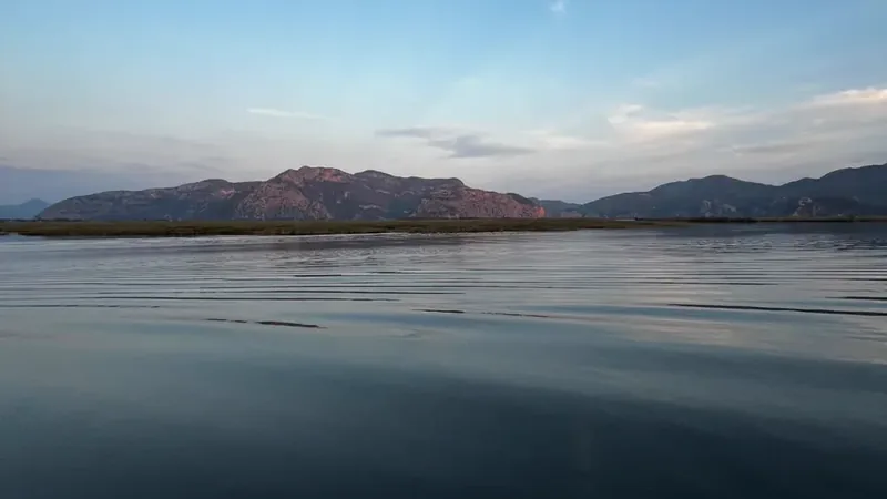 Wide still water in the delta in the evening Wide still water in the delta in the evening