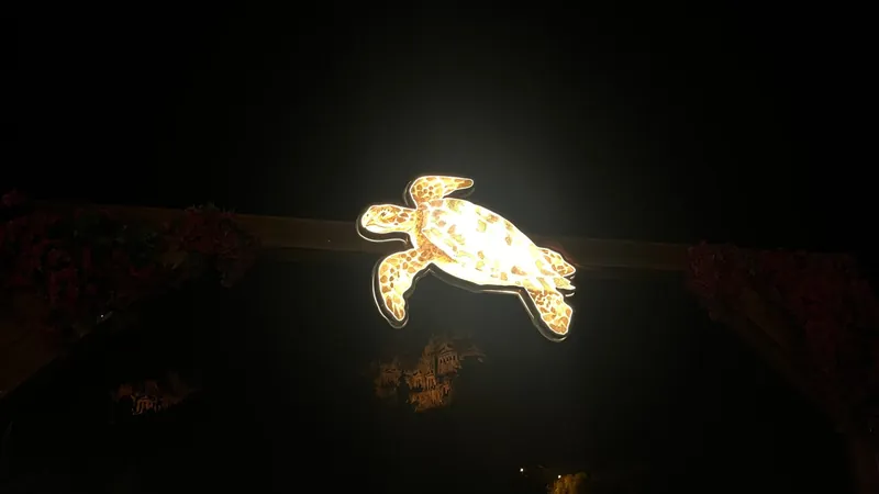 Close-up van de verlichte onechte karetschildpad op de houten boog Close-up van de verlichte onechte karetschildpad op de houten boog
