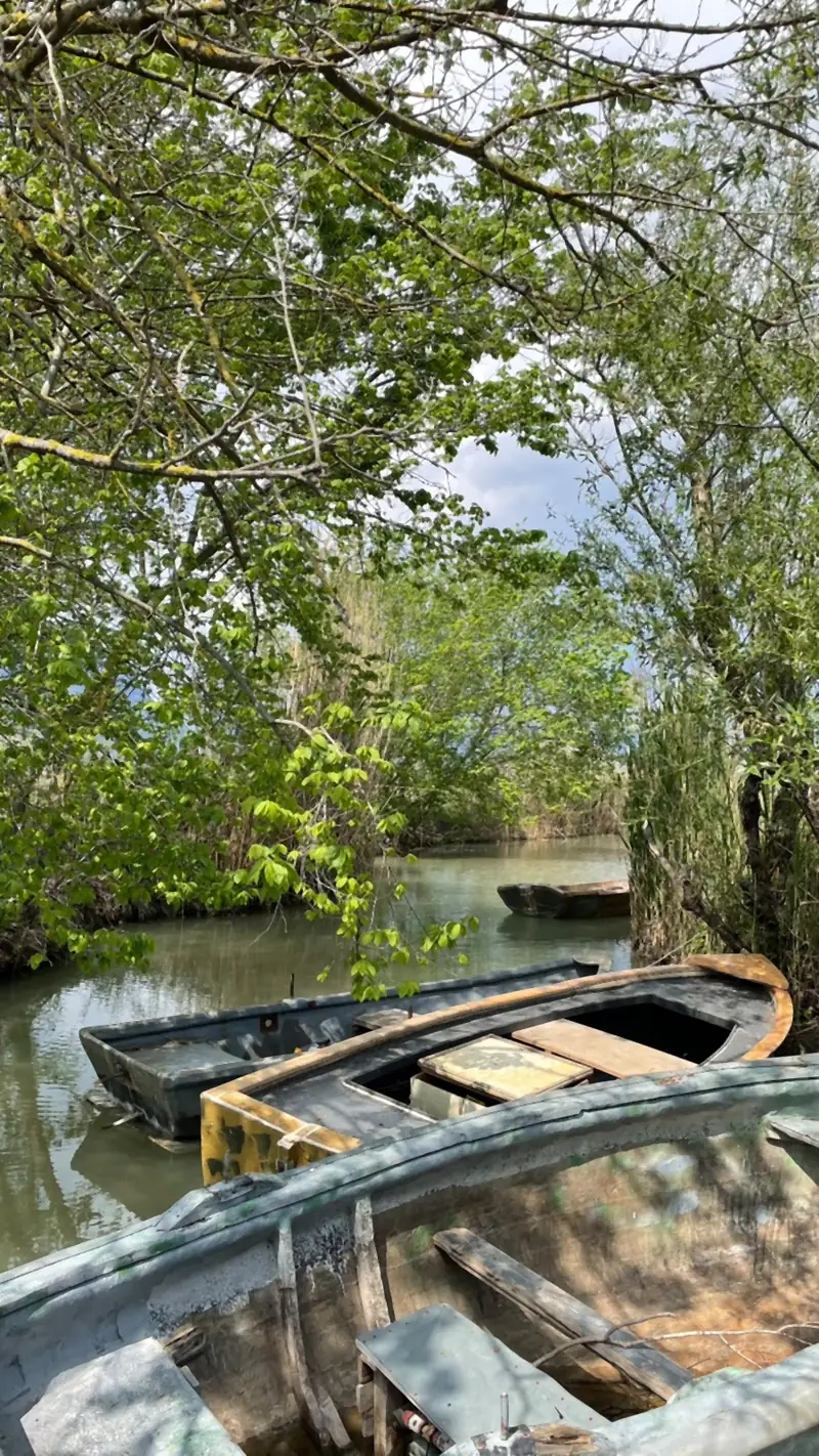 Boote im Schatten unter dem Blätterdach eines engen Kanals