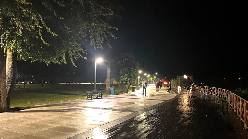 Yağmurdan sonra Dalyan kordonunda lambaları yansıtan ıslak ahşap yol Yağmurdan sonra Dalyan kordonunda lambaları yansıtan ıslak ahşap yol