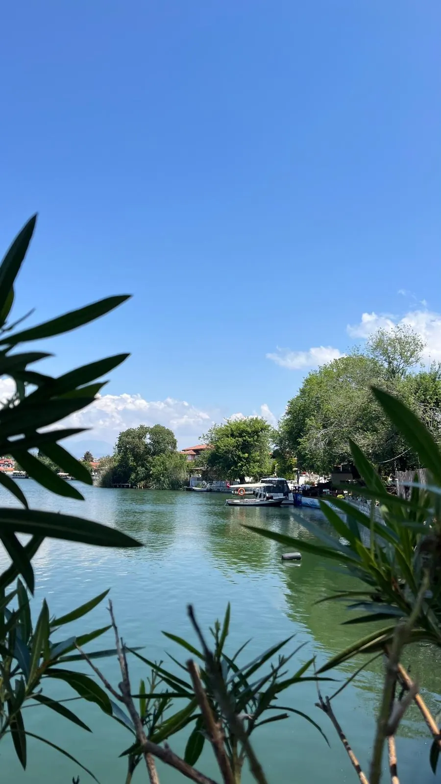 The Dalyan Mud Baths