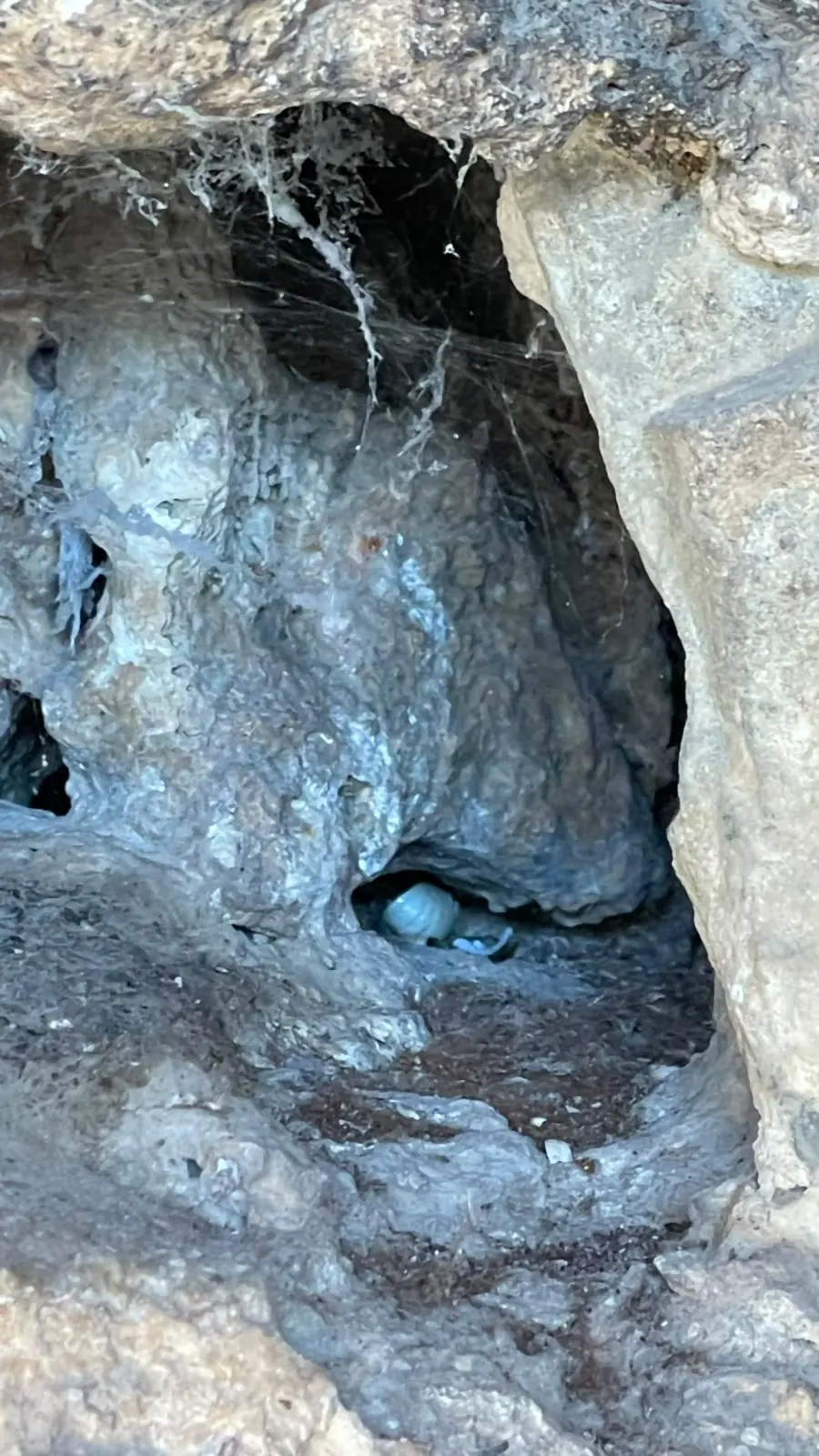Inside a burial chamber: bare rock, cobwebs and no light Inside a burial chamber: bare rock, cobwebs and no light