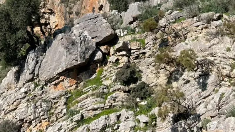 The tombs strung along the rocky slope above the scrub The tombs strung along the rocky slope above the scrub